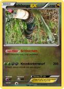 Schlange