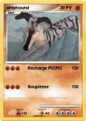 whiphound