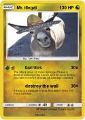 Mr. illegal