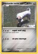 loup-border ter
