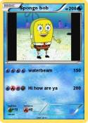 Sponge bob