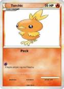 Torchic