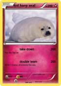 kid harp seal