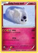 baby harp seal