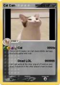 Cat Cam 9999