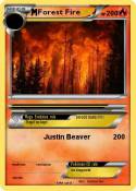 Forest Fire