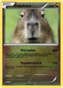 Capybara