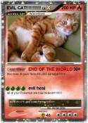 EVIL CAT!!!!!!!