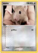 souris