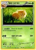 BAD CAT EX