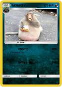 MONKEY