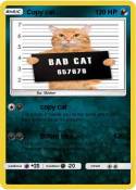 Copy cat