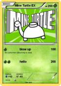 Mine Turtle