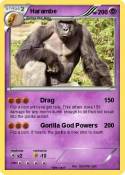 Harambe