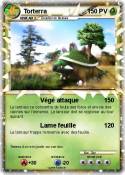 Torterra