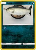 BMBB