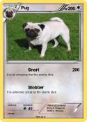 Pug