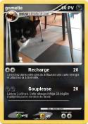 gomette