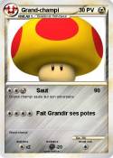 Grand-champi