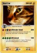 Soul Cat