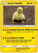 QUACK QUACK