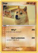 Doge