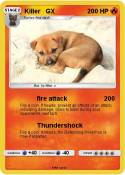 Killer GX
