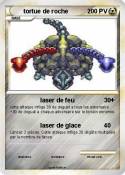 tortue de roche