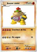 Bowser Junior