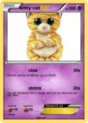 kitty cat