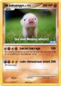 Mr.babypiggs