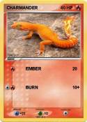 CHARMANDER