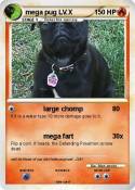 mega pug LV.X