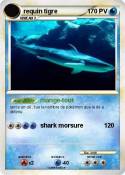requin tigre