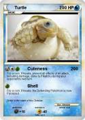 Turtle