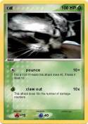 cat