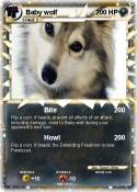 Baby wolf