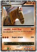 horse
