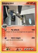 hanging bird