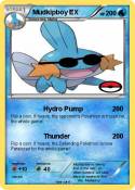 Mudkipboy EX
