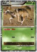 Wolf