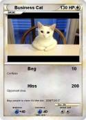 Business Cat