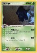 the doge