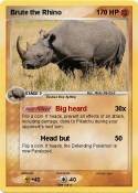 Brute the Rhino
