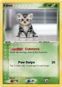 Kitten