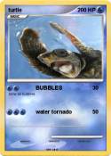 turtle
