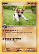 pieseł