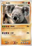 koala