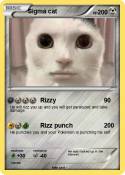 Sigma cat