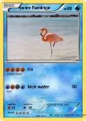 some flamingo